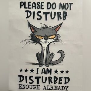 “Disturbed” T-Shirt/ pillow cover